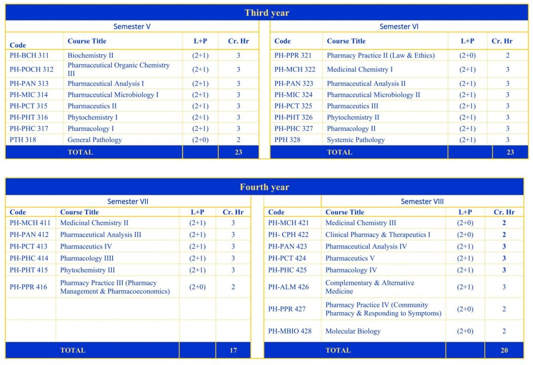 Faculty of Pharmacy Curriculum (1)_2