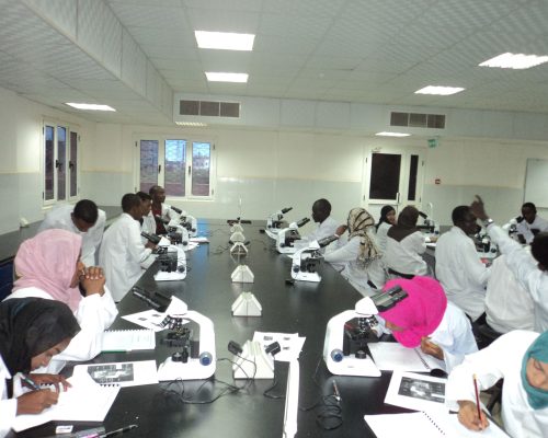 Laboratory