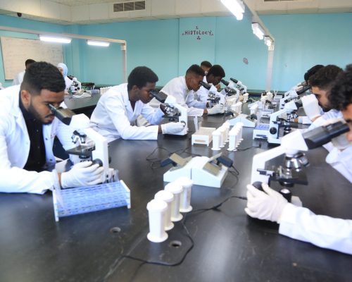 Laboratory lab (11)