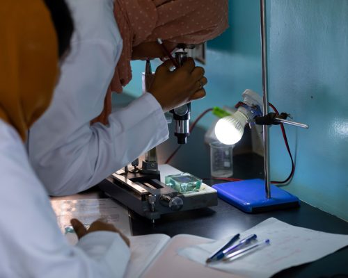 MLS Lab 2