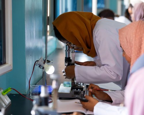 MLS Lab